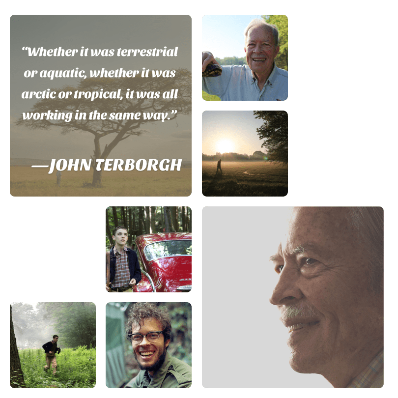  John Terborgh is James B. Duke Professor Emeritus of Environmental Science at Duke University and has current affiliations with the University of Florida – Gainesville and James Cook University, Cairns, Australia. His work focuses on tropical ecolog