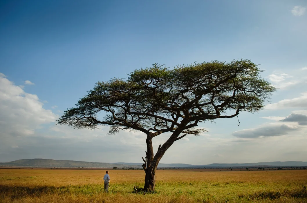 Scene from The Serengeti Rules