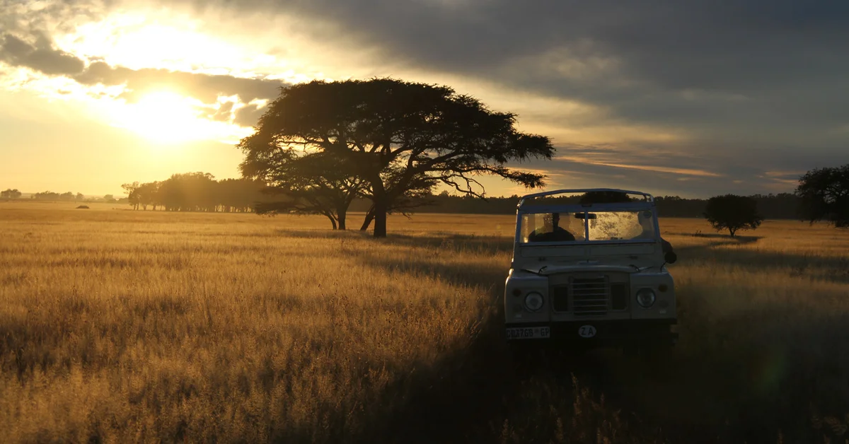 Documentary Review: In nature, “The Serengeti Rules” don’t just apply to Africa