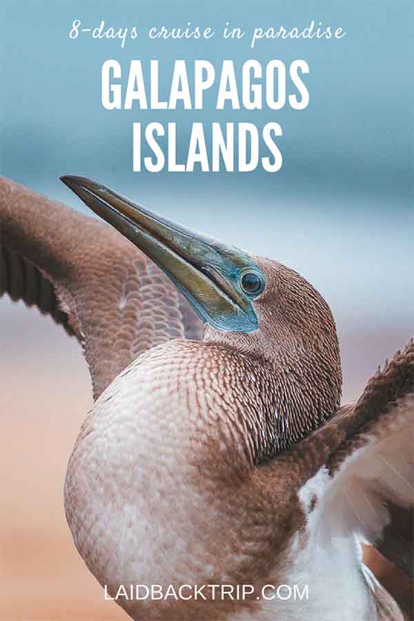 Galapagos Islands