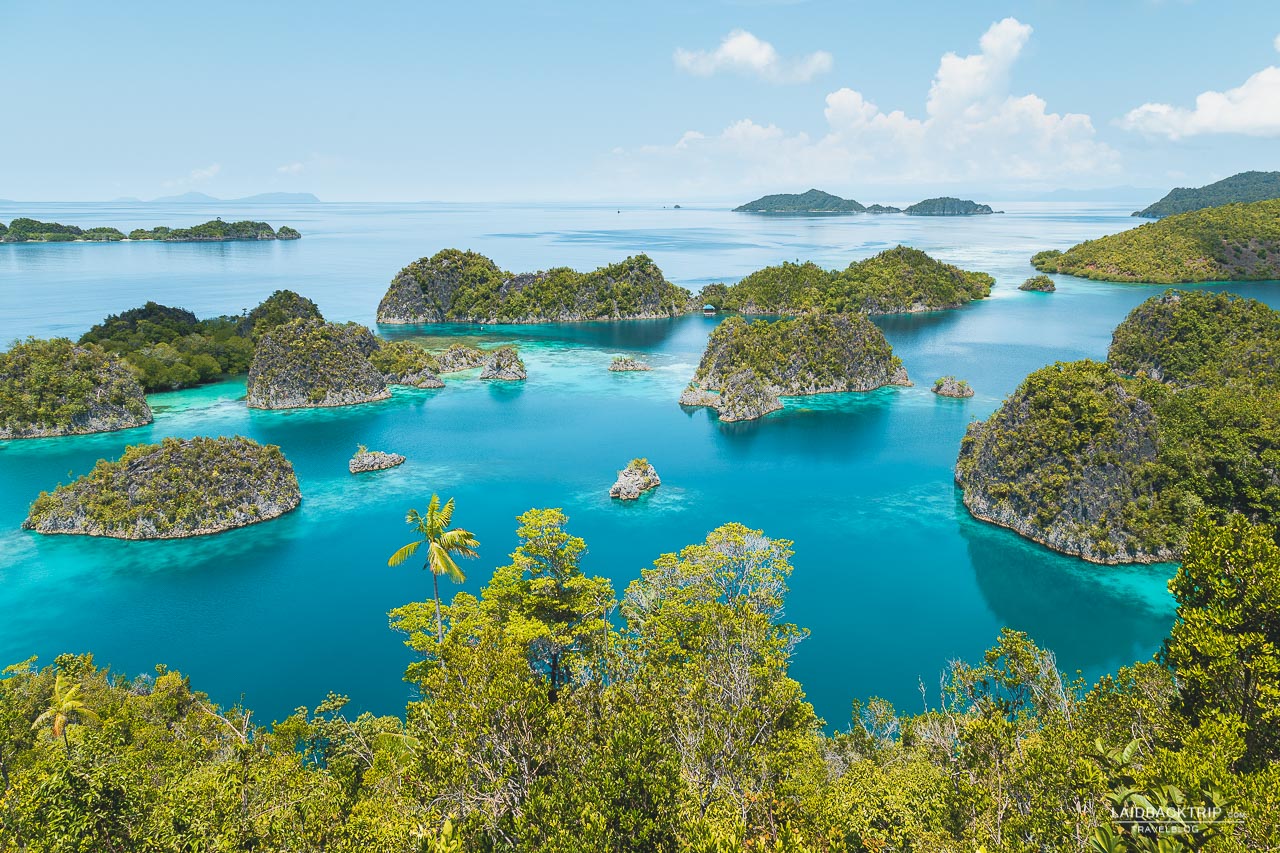 In our travel guide, you will find everything you need to know about Raja Ampat, Indonesia.