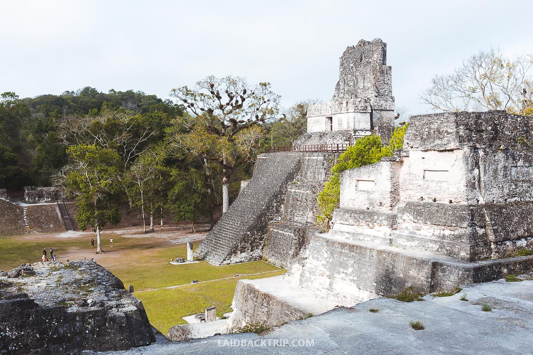 Every traveler should include Tikal visit on their Guatemala itinerary.