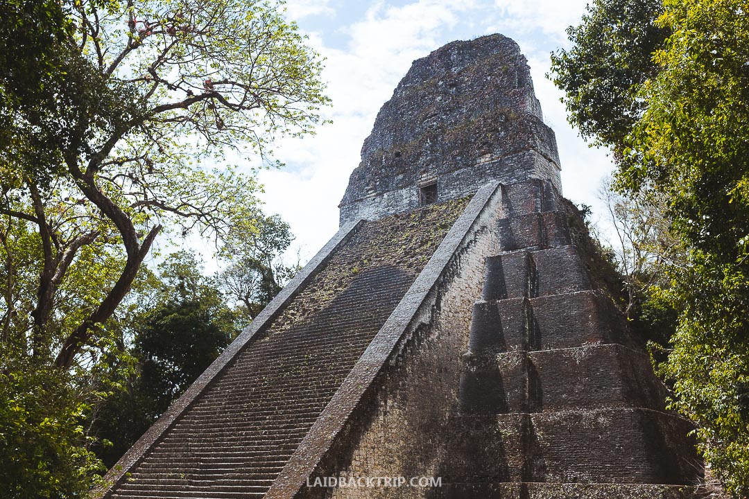 You can climb some of the main temples at Tikal ruins.