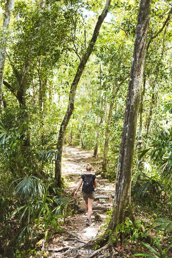 The Tikal site is huge so you will need definitely at least a half day to enjoy your visit.