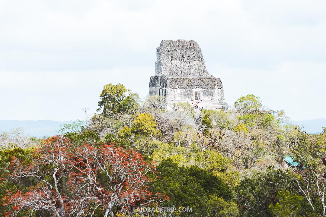 Tikal is one of our favorite historical site in Central America.