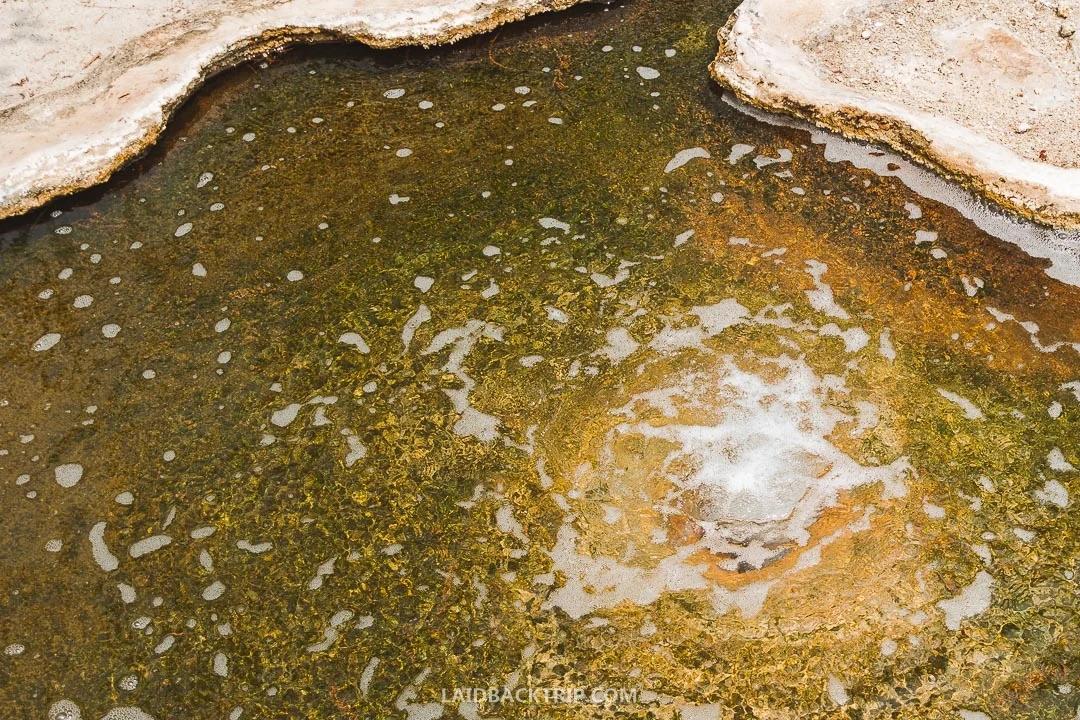 One of the best things to do in Oaxaca is to visit Hierve El Agua.