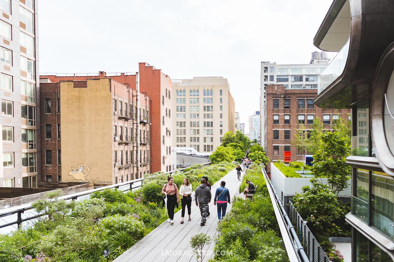 The High Line NYC: A Complete Guide to New York City's Elevated Park