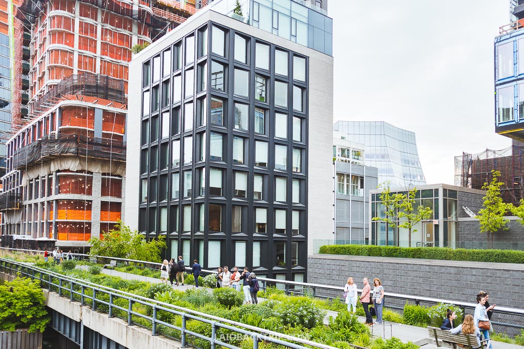 Your Complete Guide to Visiting the High Line