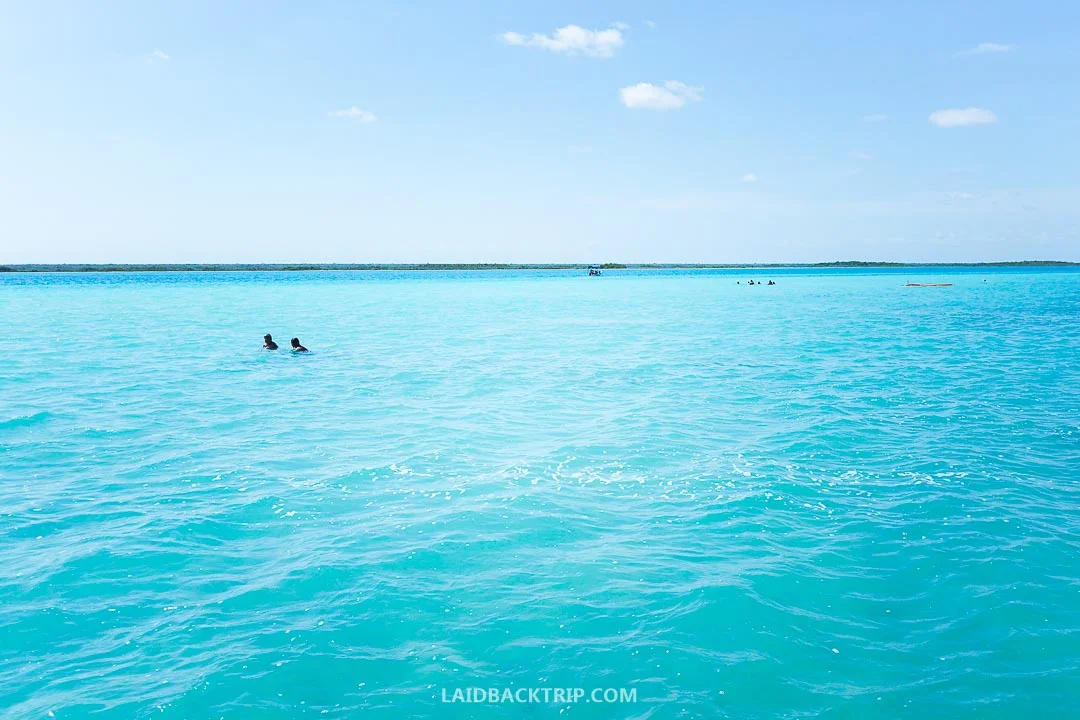 The color of the Bacalar lagoon is remarkably blue.