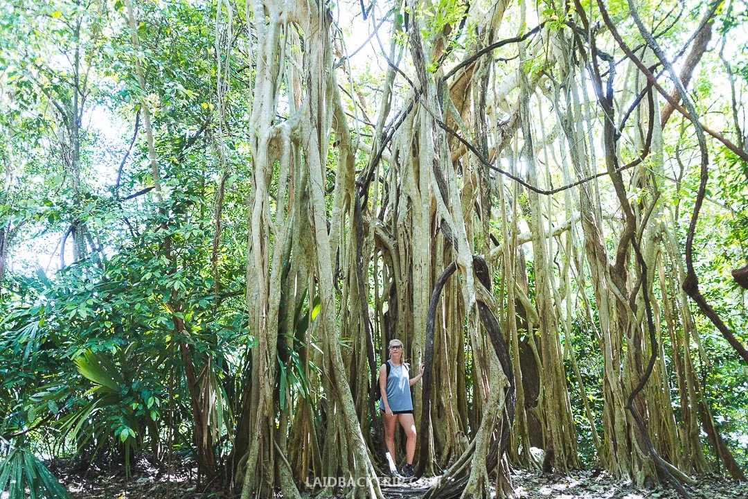 Coba is a popular tourist destination.