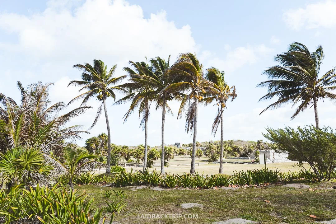The Tulum Ruins are stunning.
