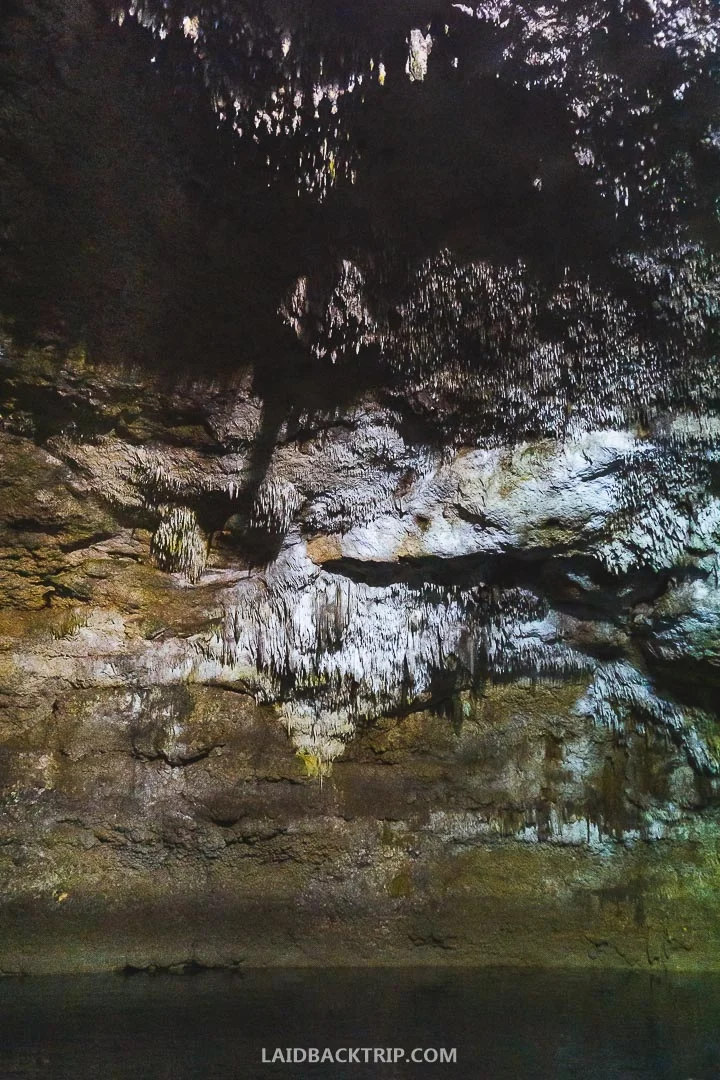 Tamcach-Ha, Choo-Ha, and Multum-Ha are popular cenotes in Mexico.