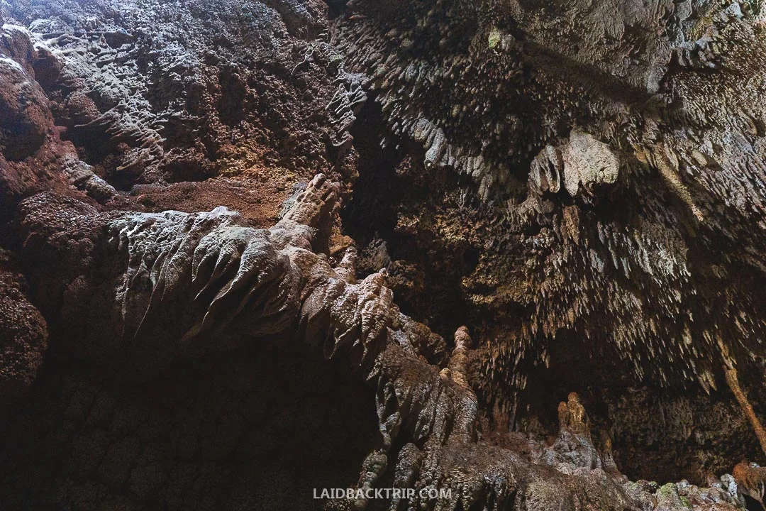 Cenotes Tamcach-Ha, Choo-Ha, and Multum-Ha are one of the best day trips from Tulum.