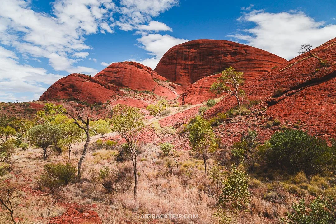 Weather in Uluru is harsh, and you need to pack sunscreen, a hat and bring a lot of water.