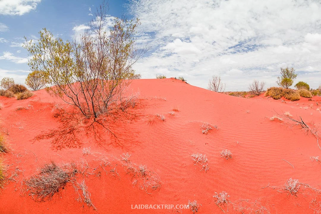 You should visit the Ayers Rock well-equipped and prepared.