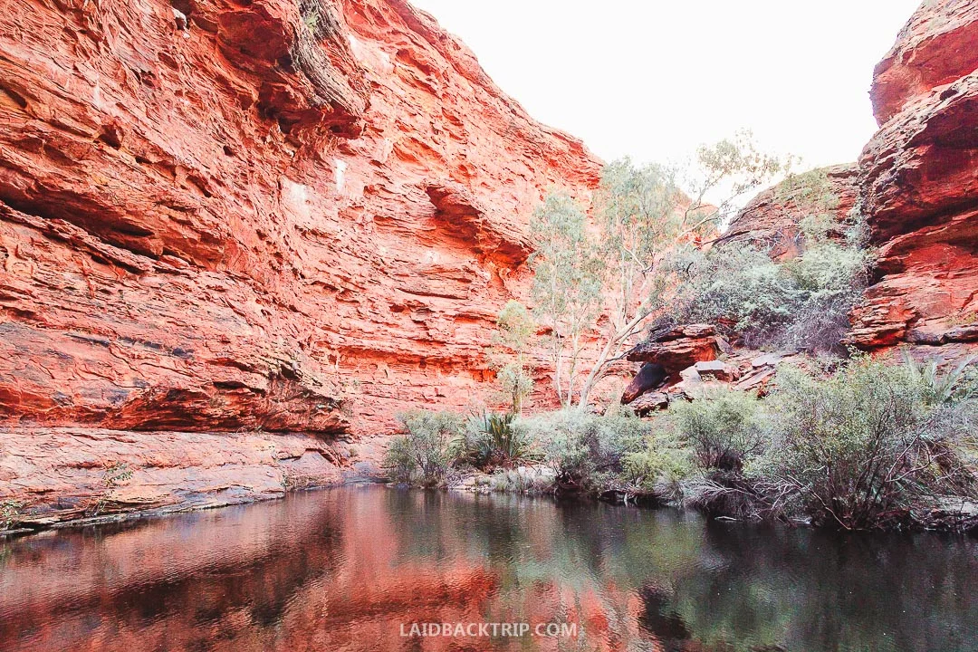 Road tripping around Australia's outback will be the adventure of your life.