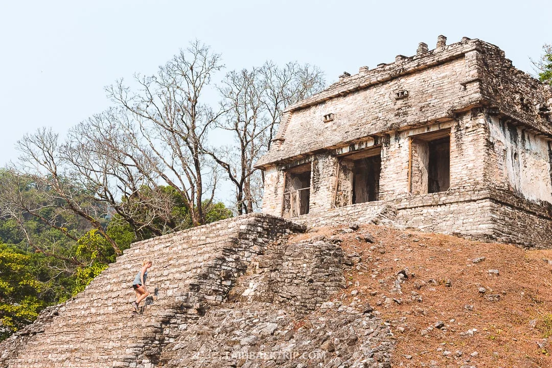 You can climb several pyramids in Palenque Ruins.