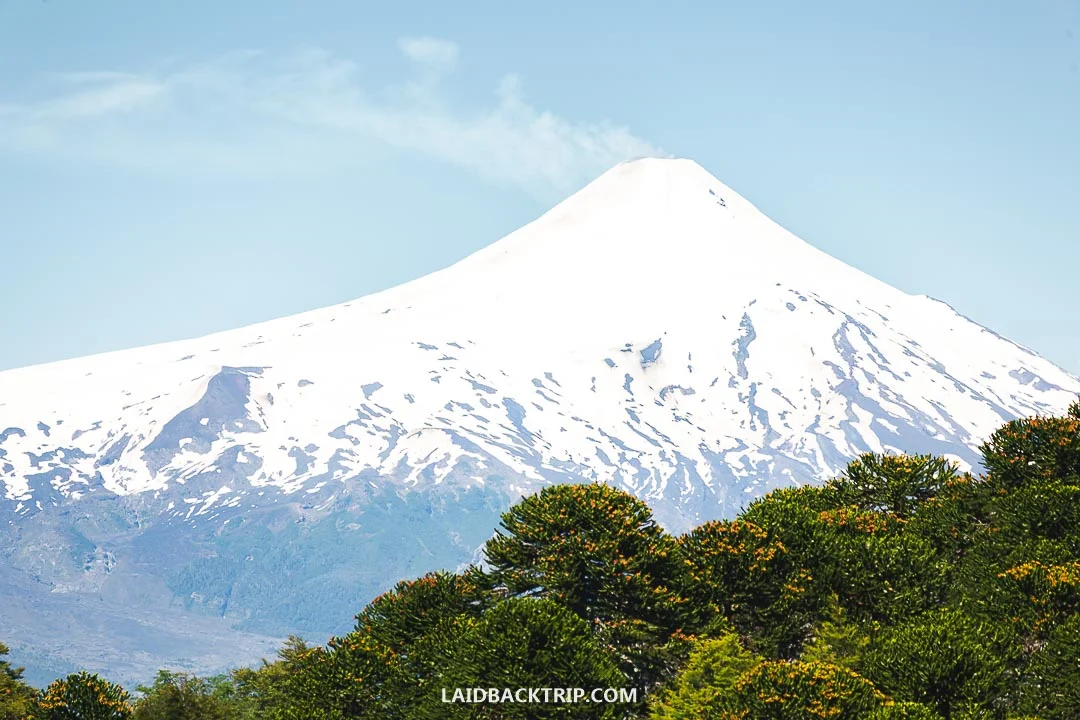 You can climb the Volcan Villarrica on a day trip guided tour from Pucon.