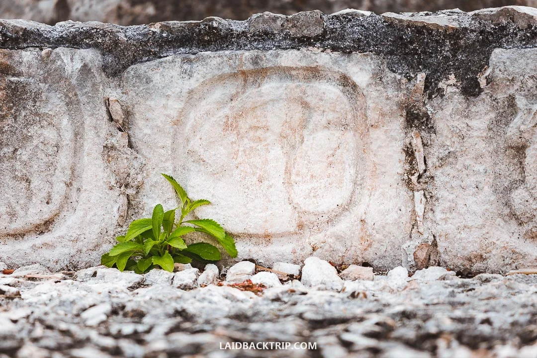 You can visit Edzna Ruins on a day trip from Campeche.