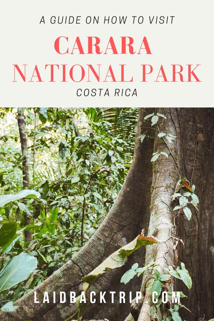 Explore Carara National Park, Costa Rica