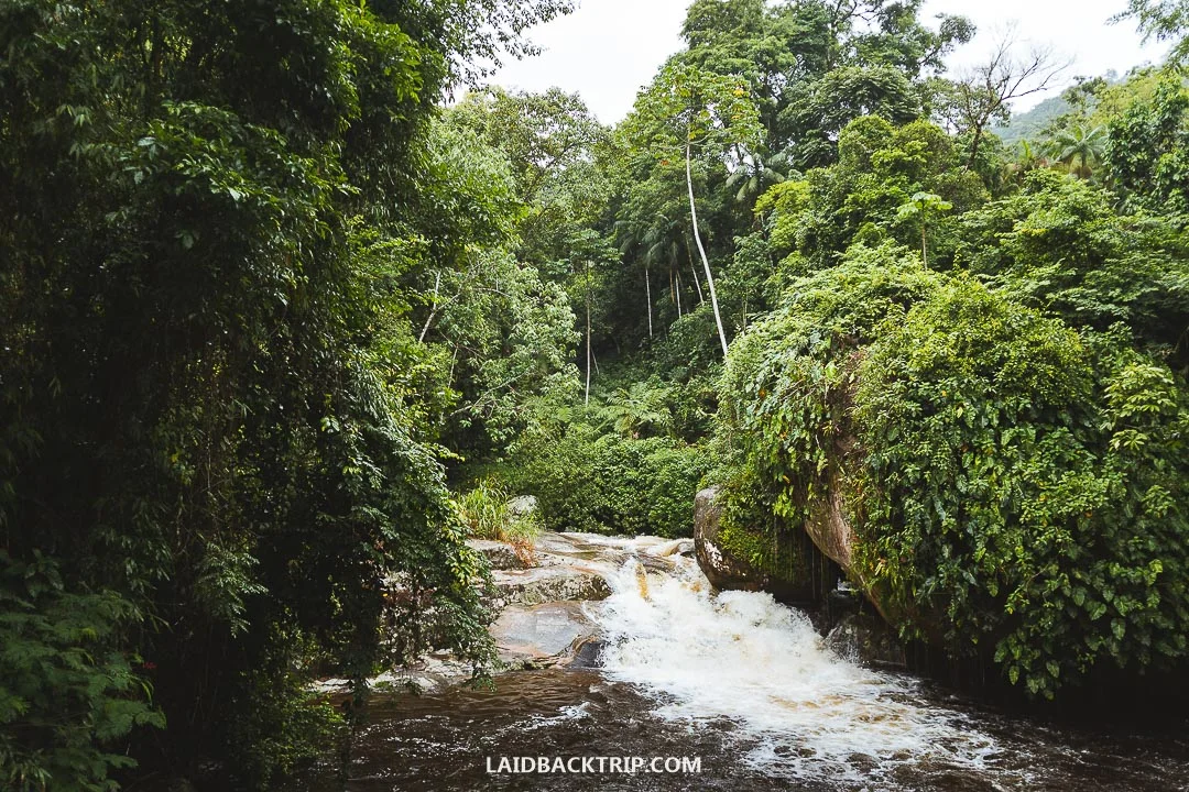 Tarzan Falls are just a little bit farther upstream.