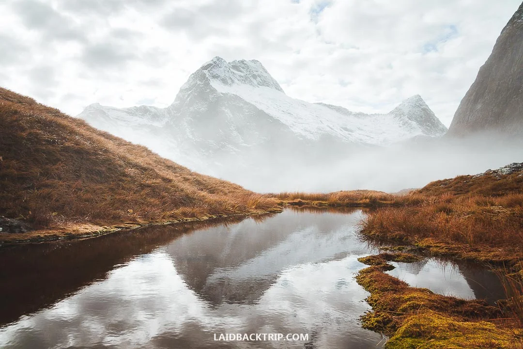The Mackinnon Pass is the highest point of the Milford Track.