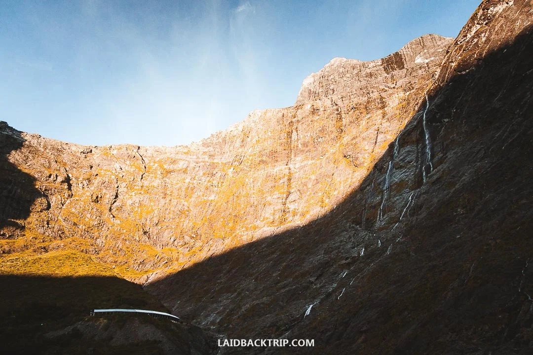 You need to arrange transport for Milford Track.