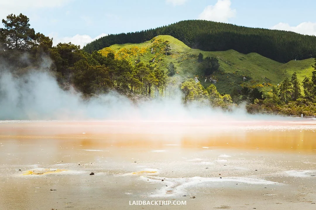 Best things to do in Rotorua, New Zealand.