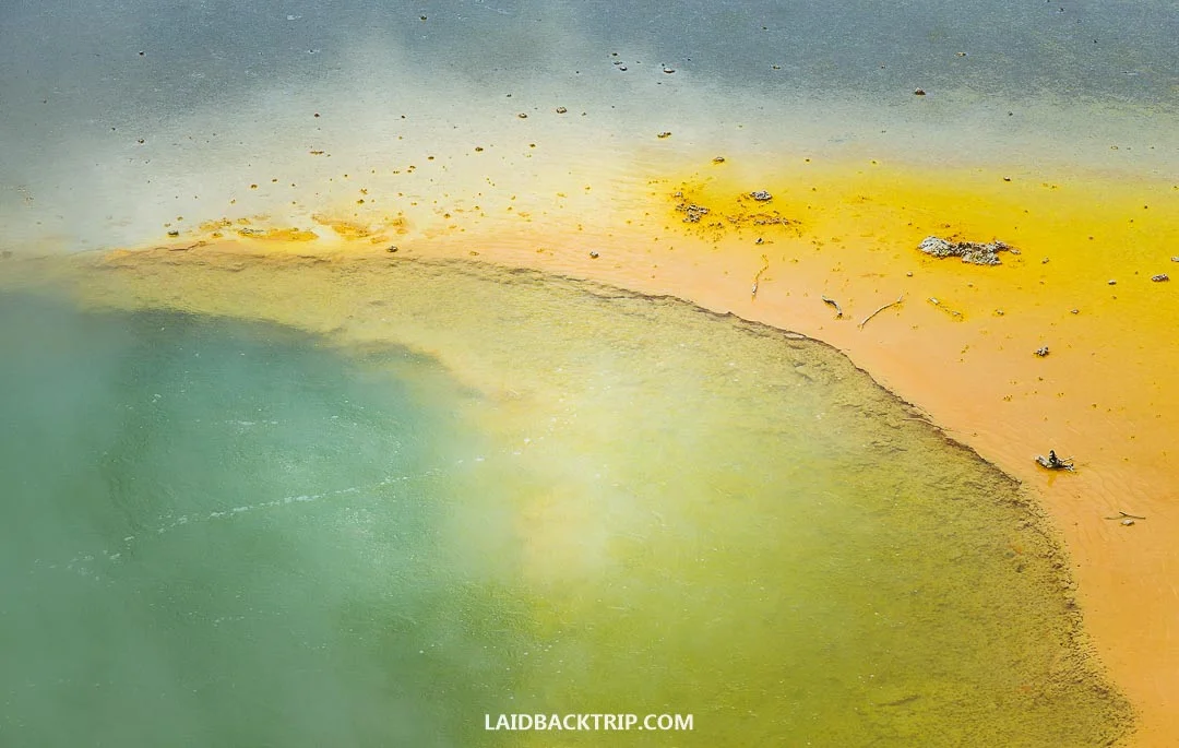 You can visit Rotorua all year round.