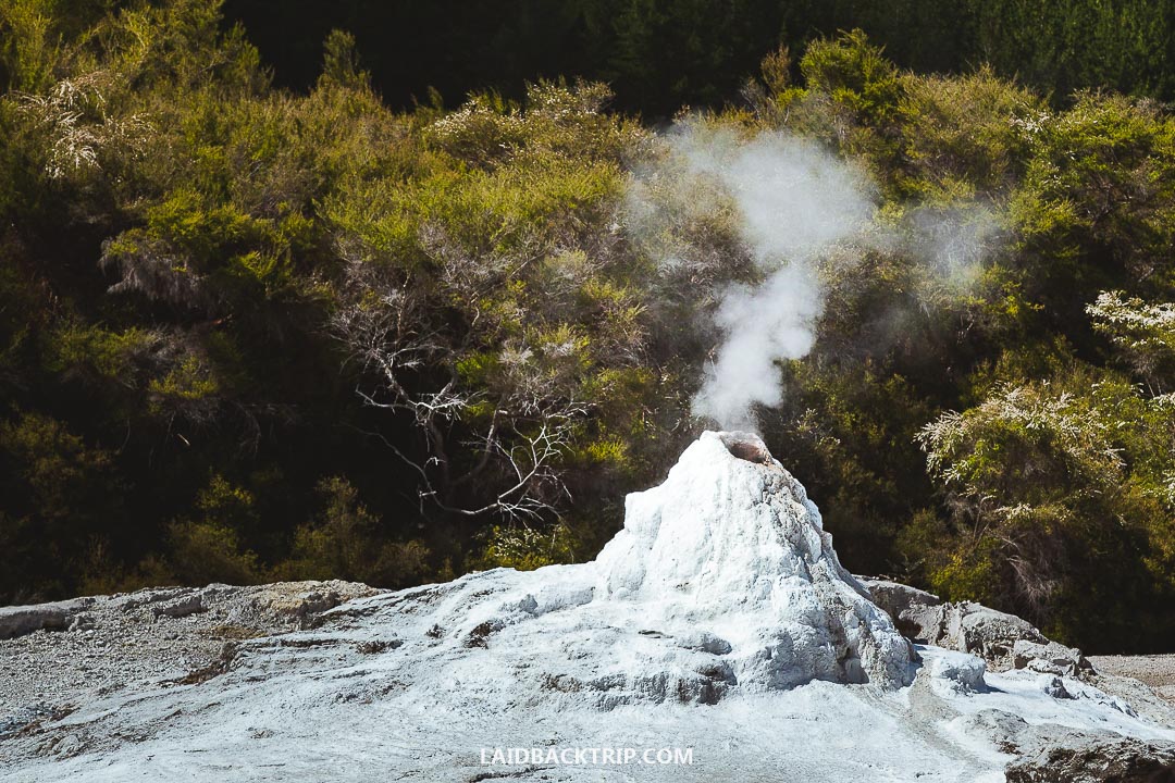 Best Things to Do in Rotorua: The Ultimate Guide — LAIDBACK TRIP