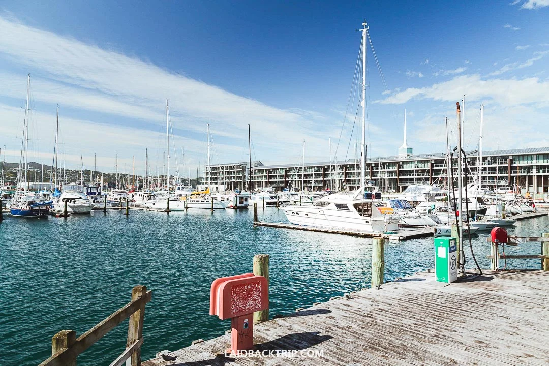 Wellington harbor is perfect for a leisure walk in the afternoon.