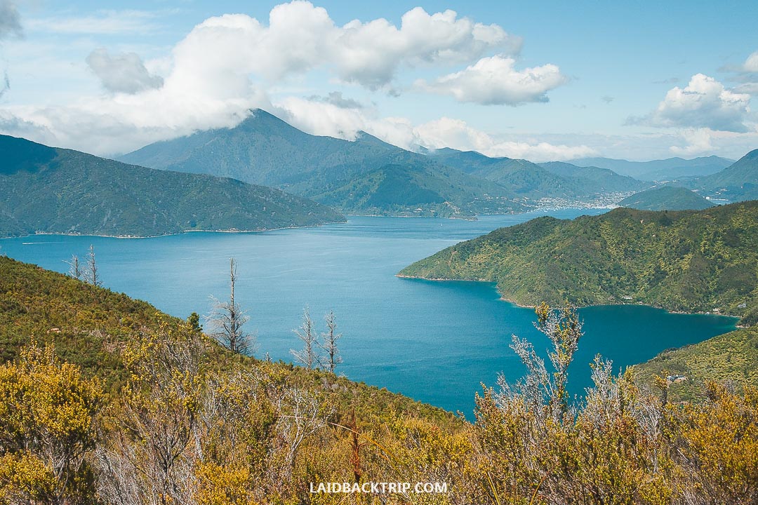 You need to book the ferry between Wellington and Picton in advance.