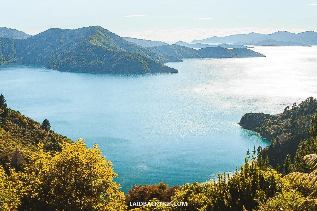 Queen Charlotte Track is one of the best multi-day treks in New Zealand.