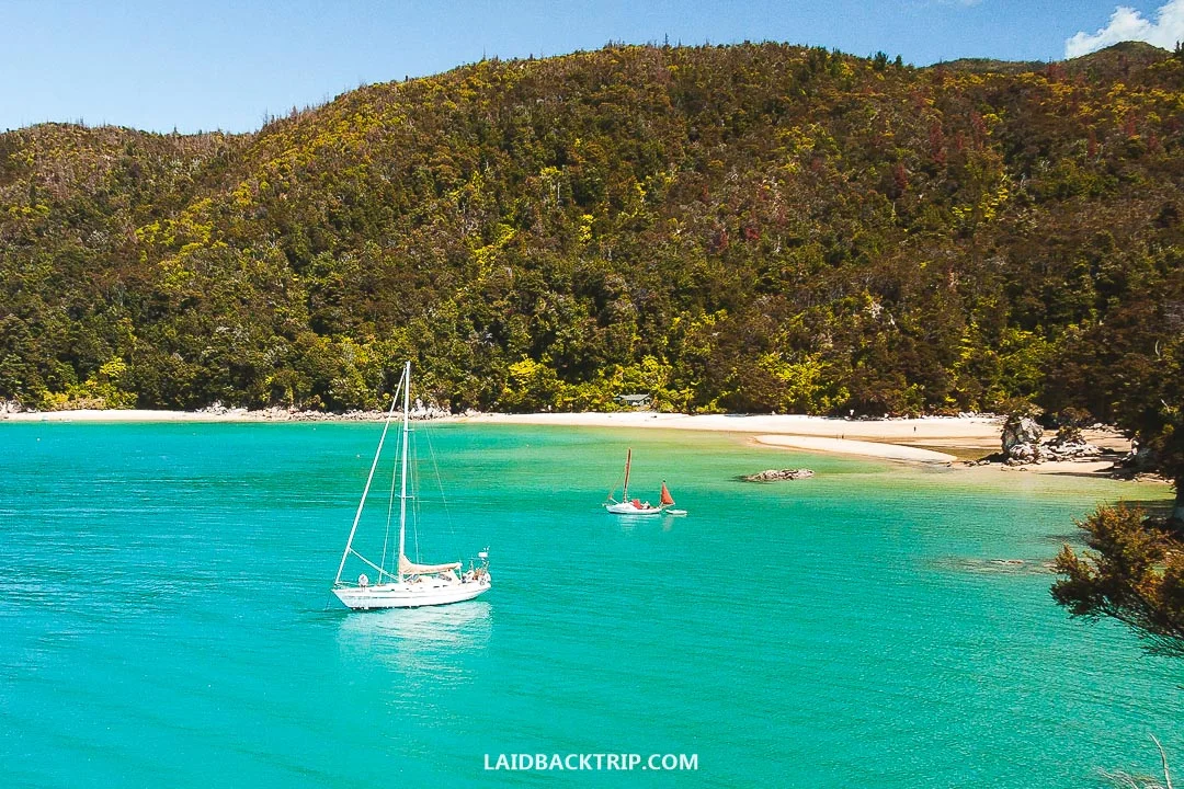 Nelson is a gateway to famous Abel Tasman National Park.