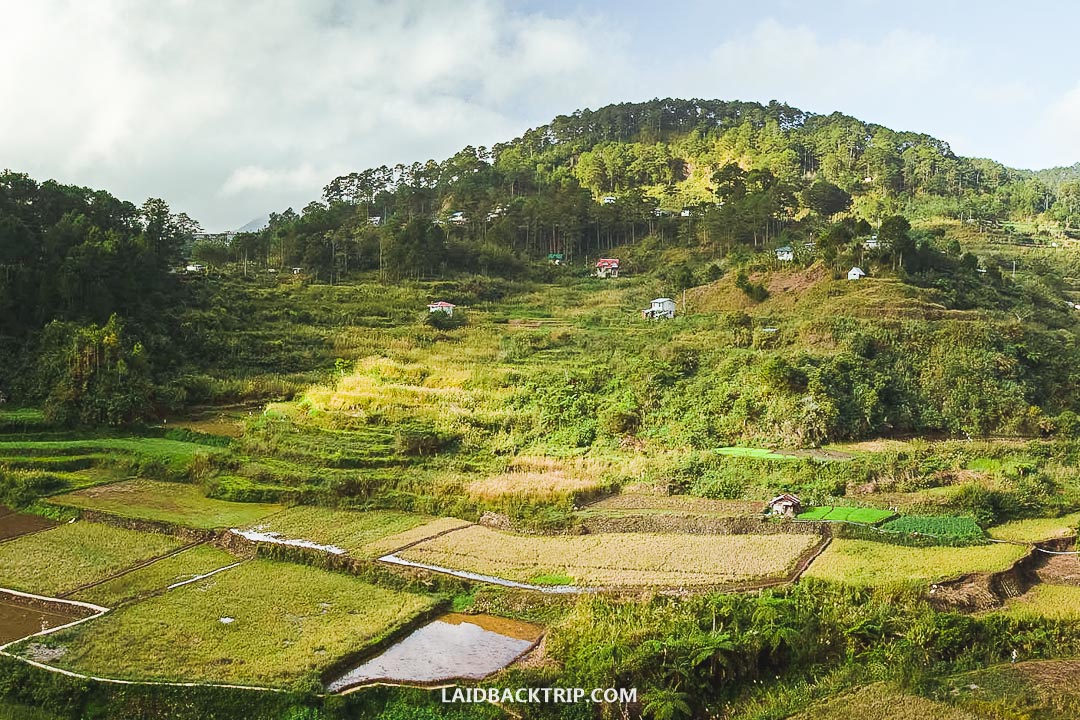 You can explore rice terraces in Sagada too.
