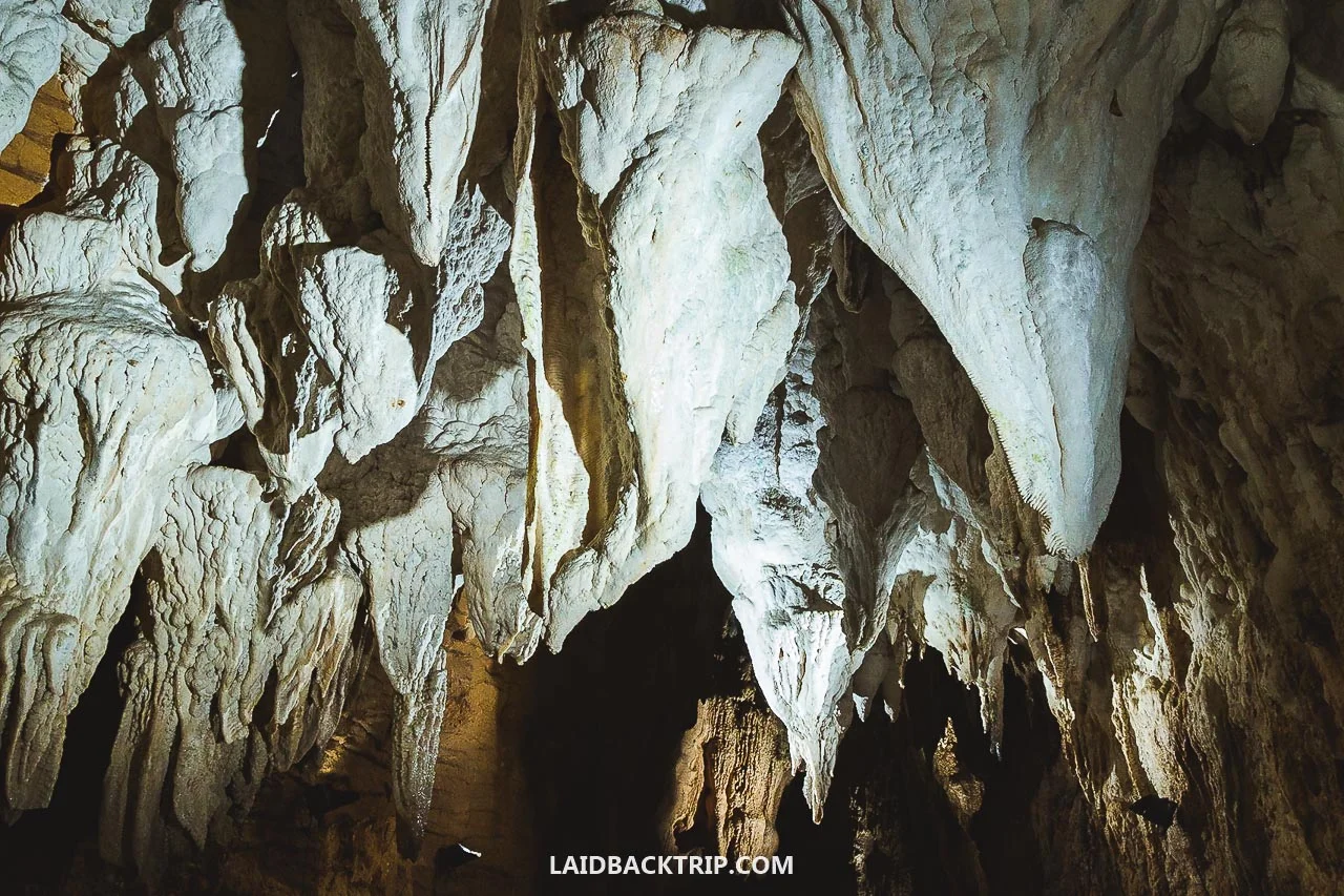 Here is a travel guide to Waitomo Glowworm Cave, New Zealand.