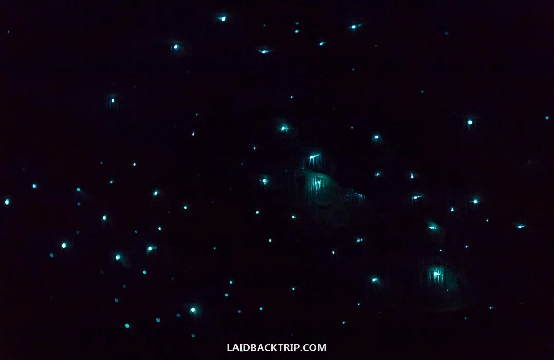 Waitomo Glowworm Cave is must-visit place in New Zealand.