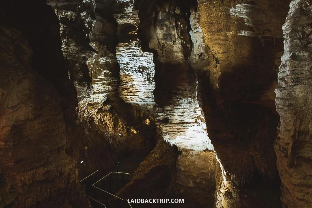 If you purchase a multipass, you can also visit Aranui and Ruakuri Caves.