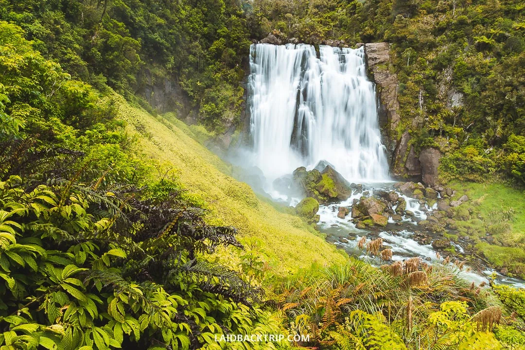 Marokopa Falls is a stunning waterfall short drive from the Waitomo village.