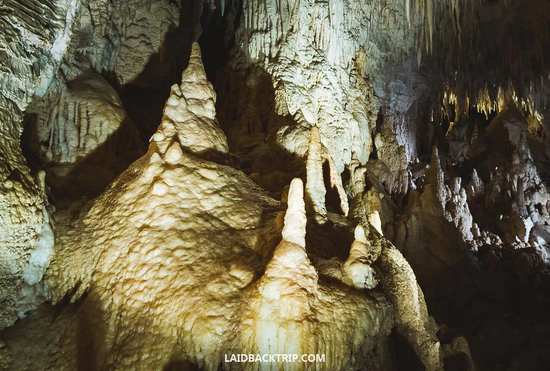Waitomo Glowworm Cave boat ride was an amazing travel experience.