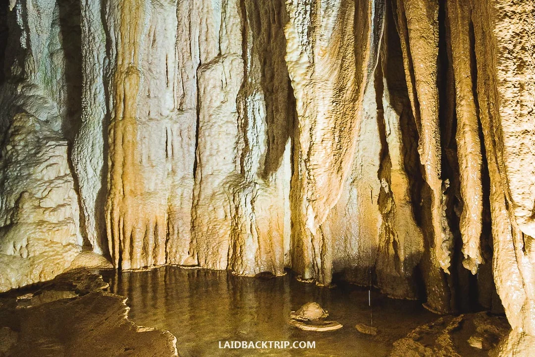 You need at least one full day to explore the Waitomo area.