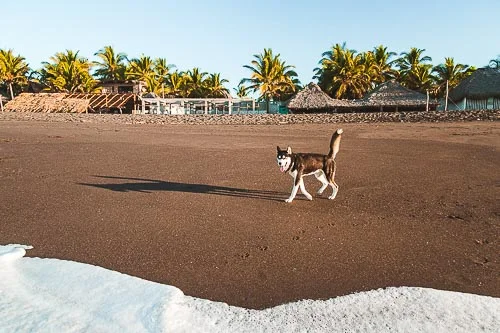 Monterrico: Travel Guide to the Best Beach in Guatemala