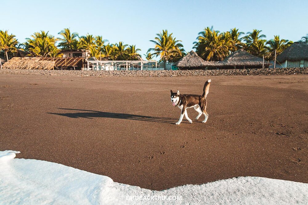 Here is our travel guide on best things to do in Monterrico, Guatemala.