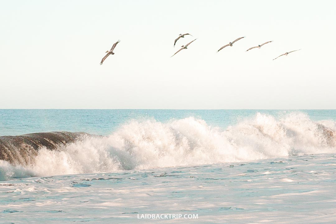 Monterrico has a beautiful long black sand beach.