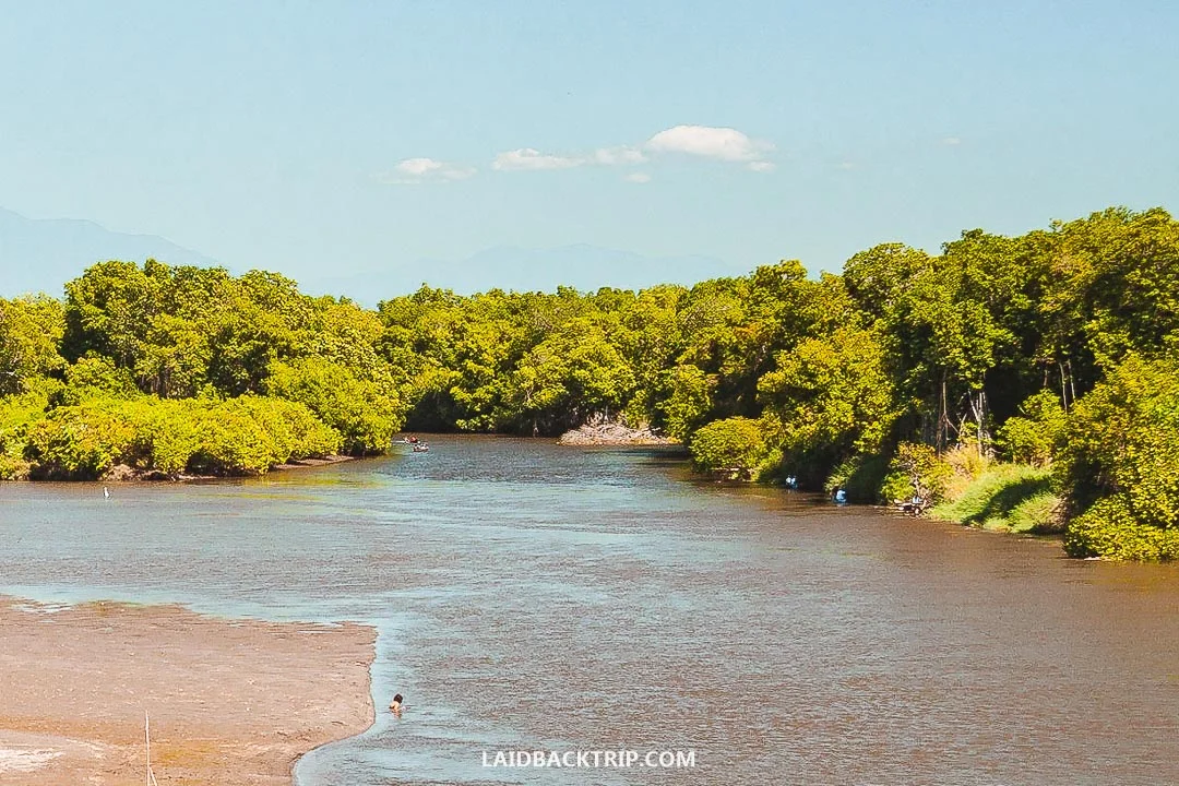 If you want to see turtles in Monterrico, travel there between June and December.