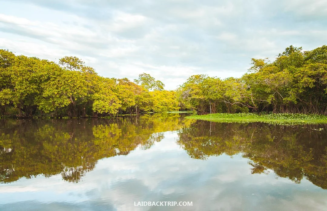 You can explore Monterrico estuary on a guided boat tour around the mangroves.