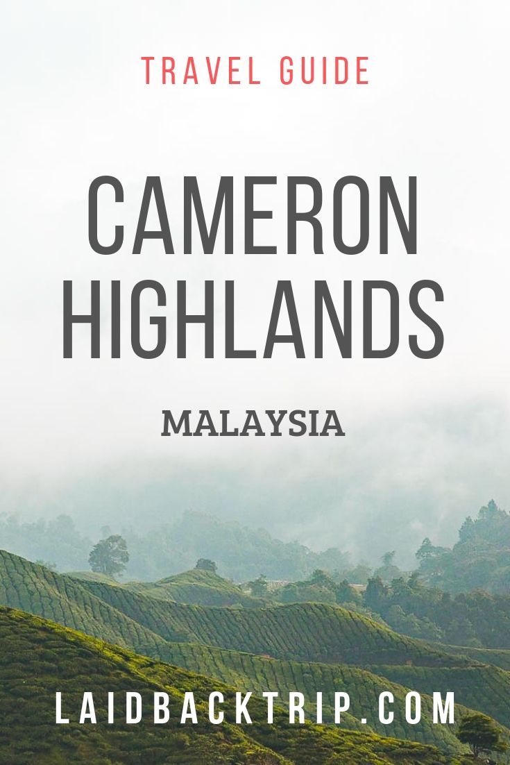 Cameron Highlands, Malaysia