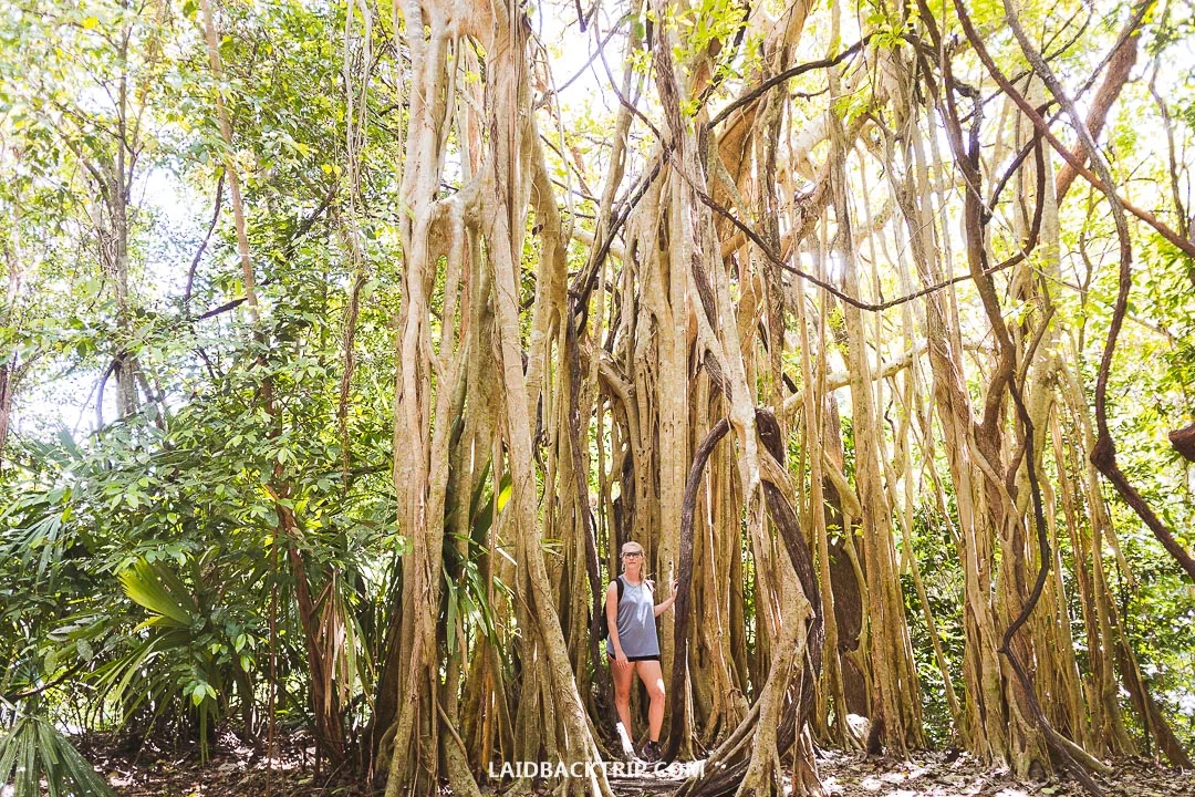 You can find both cheap backpacker hostels and luxury hotels in Tulum.