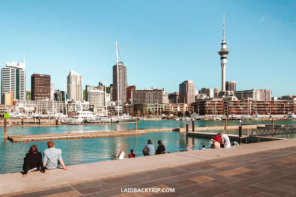 auckland-travel-guide-things-to-do-laidback-trip