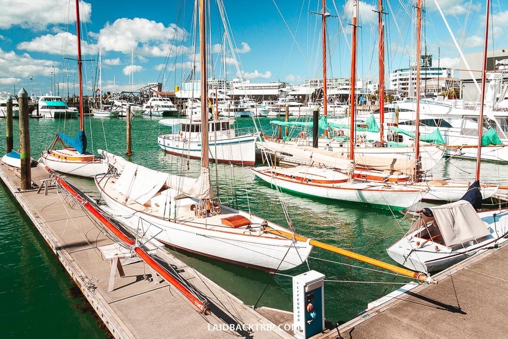 AUCKLAND TRAVEL GUIDE visual data 7